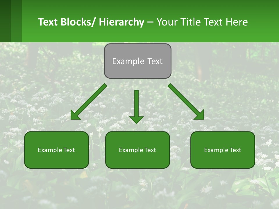 A Field Full Of White Flowers With Trees In The Background PowerPoint Template