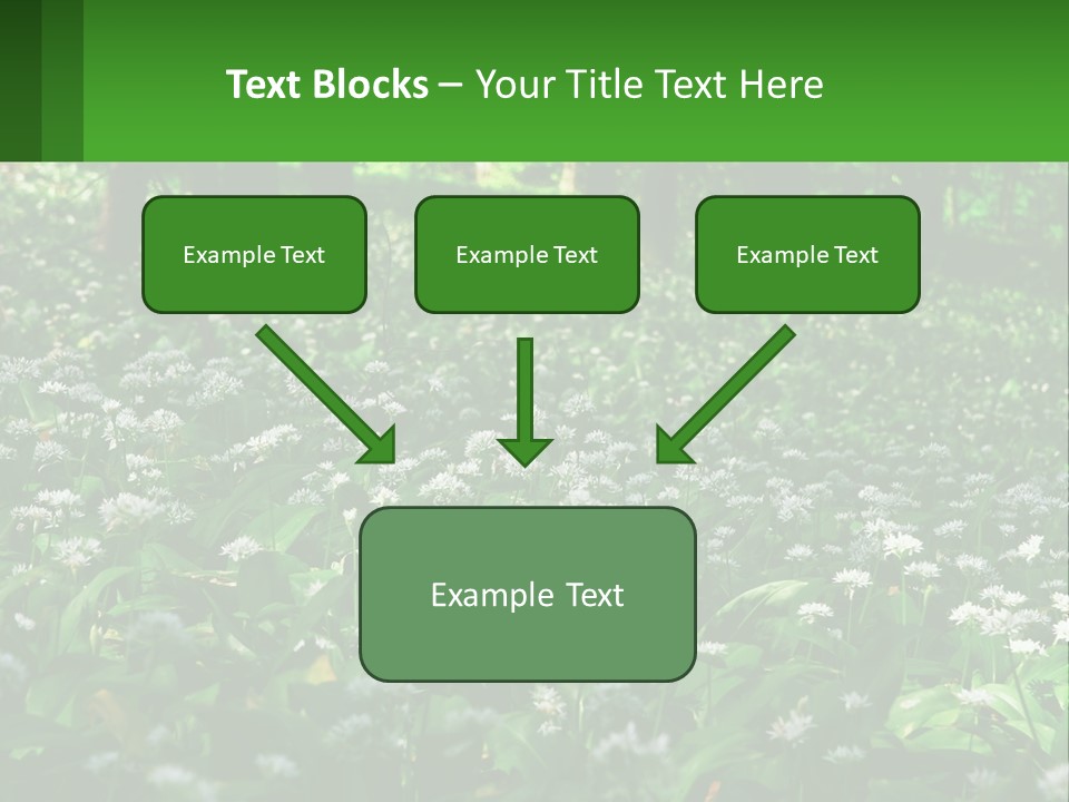 A Field Full Of White Flowers With Trees In The Background PowerPoint Template