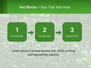 A Field Full Of White Flowers With Trees In The Background PowerPoint Template