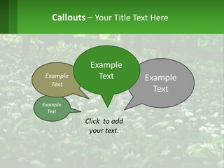 A Field Full Of White Flowers With Trees In The Background PowerPoint Template