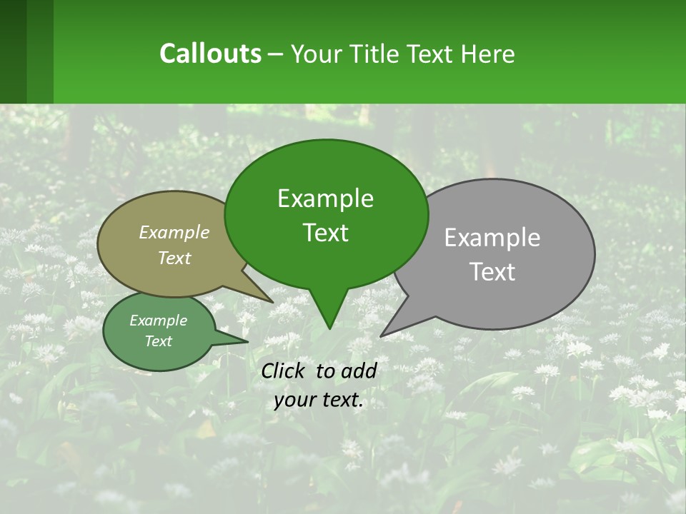 A Field Full Of White Flowers With Trees In The Background PowerPoint Template