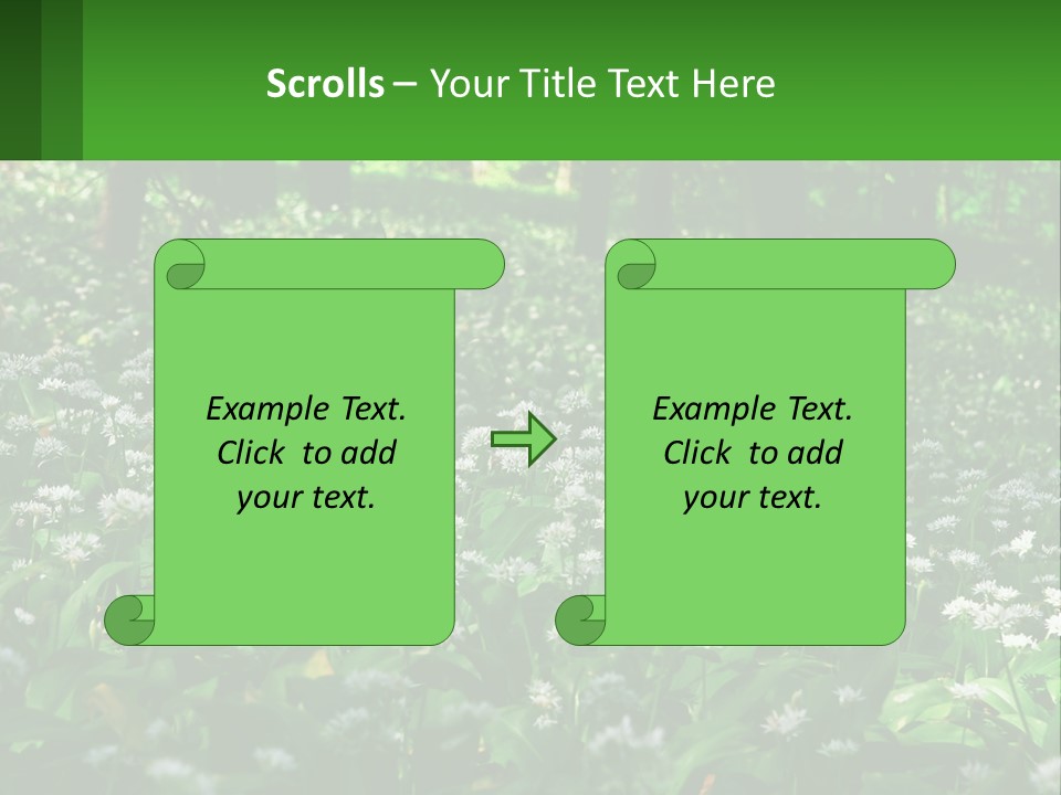 A Field Full Of White Flowers With Trees In The Background PowerPoint Template
