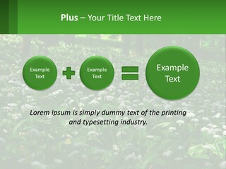 A Field Full Of White Flowers With Trees In The Background PowerPoint Template