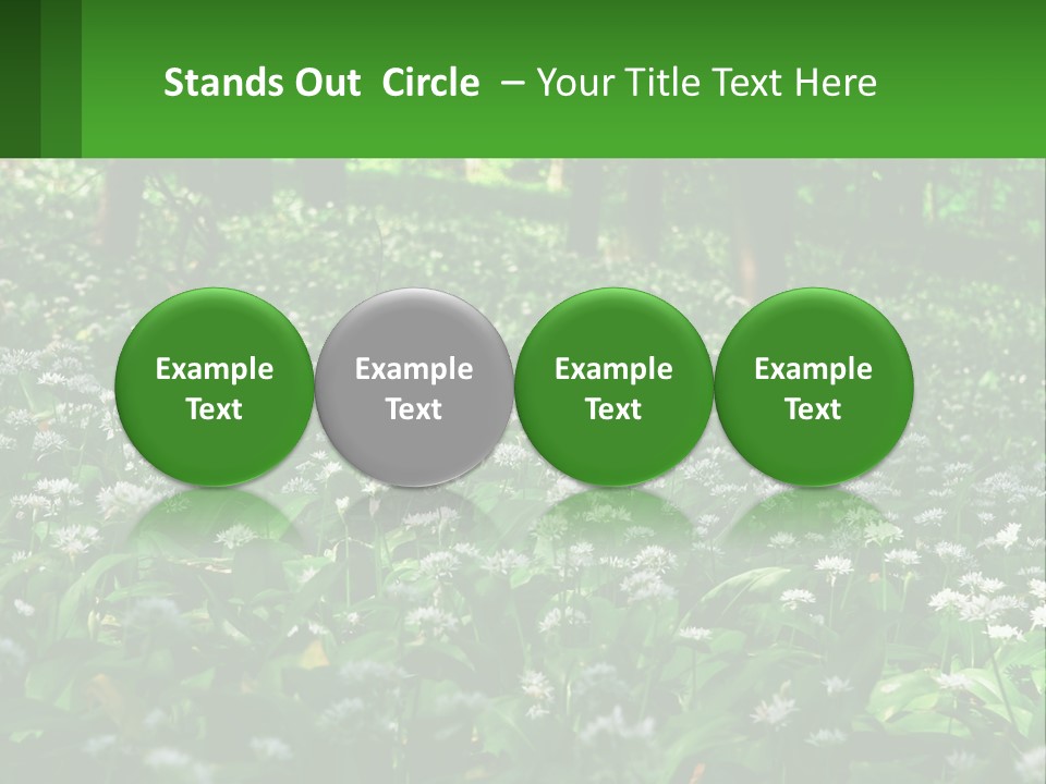 A Field Full Of White Flowers With Trees In The Background PowerPoint Template