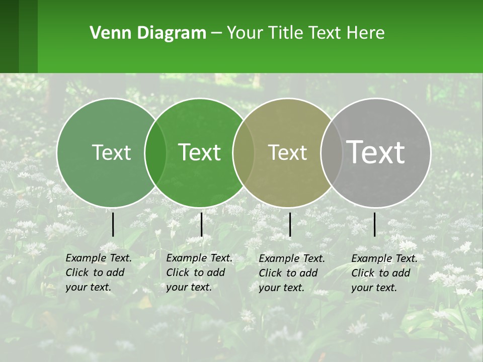 A Field Full Of White Flowers With Trees In The Background PowerPoint Template