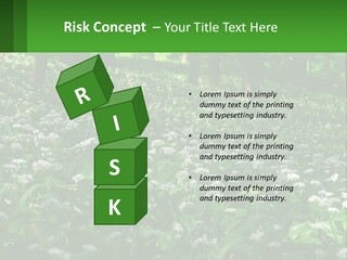 A Field Full Of White Flowers With Trees In The Background PowerPoint Template