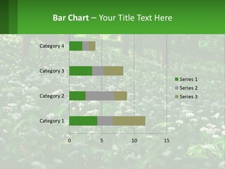 A Field Full Of White Flowers With Trees In The Background PowerPoint Template