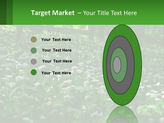 A Field Full Of White Flowers With Trees In The Background PowerPoint Template