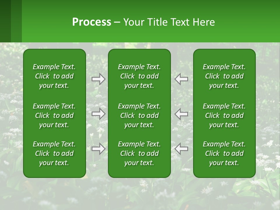 A Field Full Of White Flowers With Trees In The Background PowerPoint Template