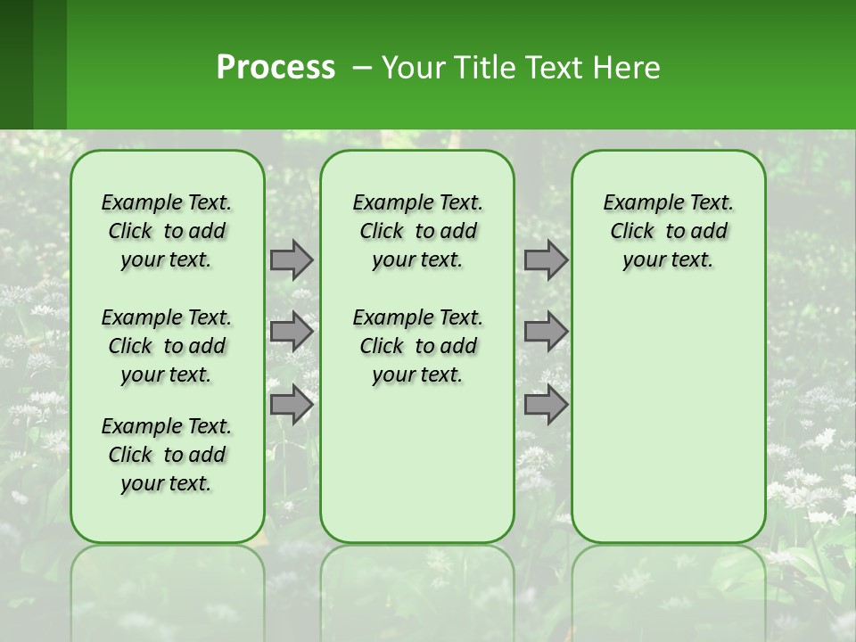 A Field Full Of White Flowers With Trees In The Background PowerPoint Template