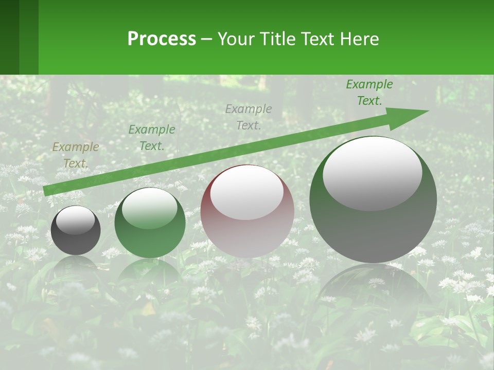 A Field Full Of White Flowers With Trees In The Background PowerPoint Template