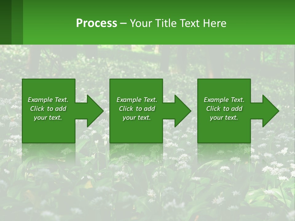 A Field Full Of White Flowers With Trees In The Background PowerPoint Template