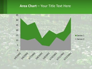 A Field Full Of White Flowers With Trees In The Background PowerPoint Template