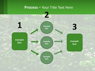 A Field Full Of White Flowers With Trees In The Background PowerPoint Template