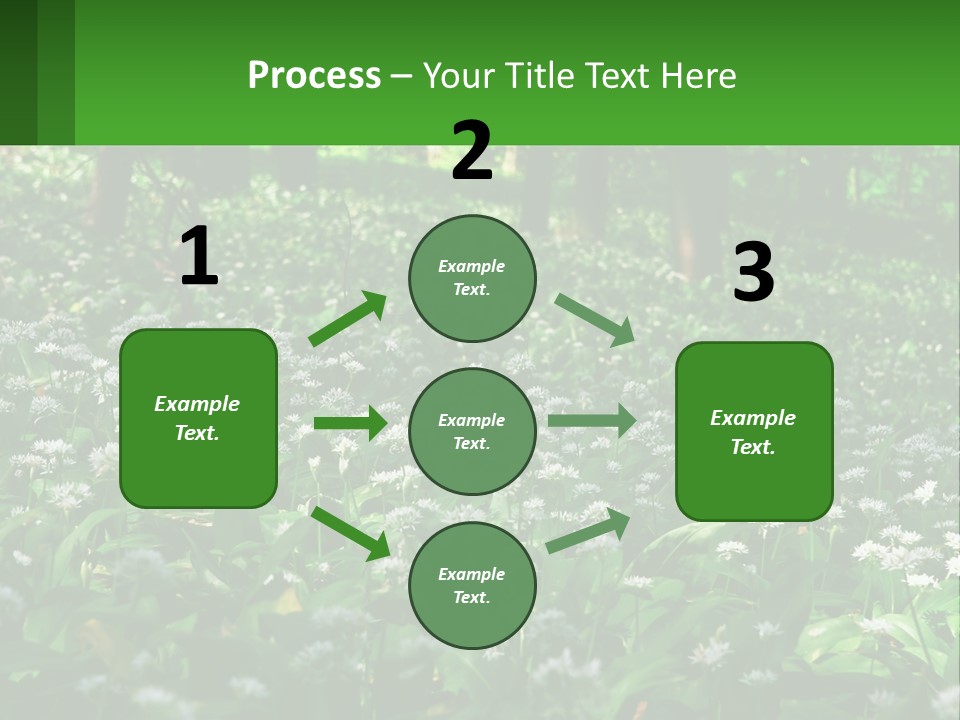 A Field Full Of White Flowers With Trees In The Background PowerPoint Template