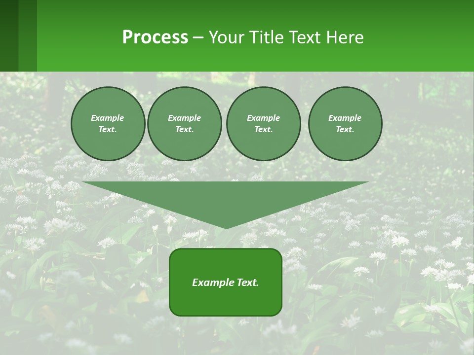 A Field Full Of White Flowers With Trees In The Background PowerPoint Template