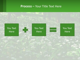 A Field Full Of White Flowers With Trees In The Background PowerPoint Template