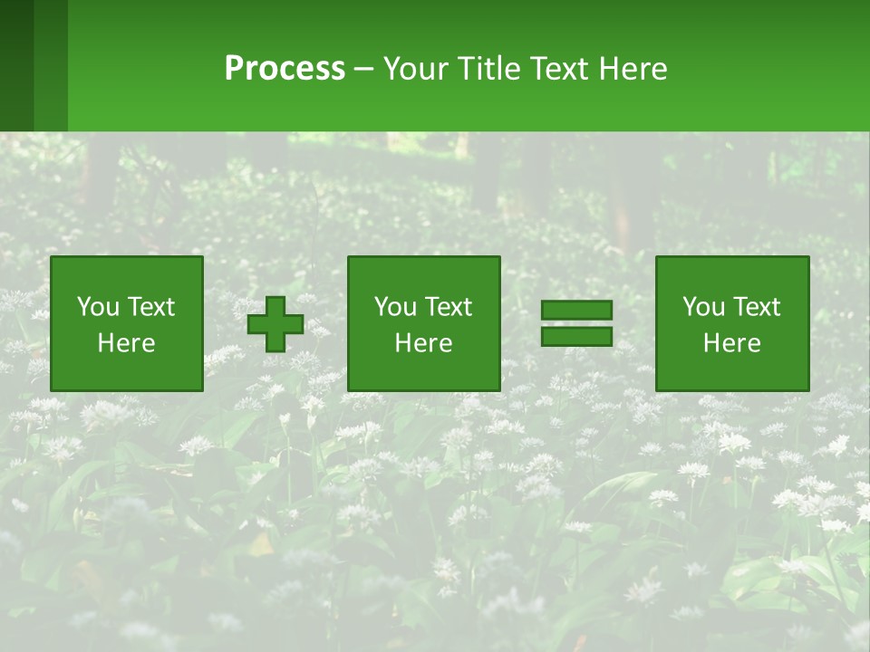 A Field Full Of White Flowers With Trees In The Background PowerPoint Template
