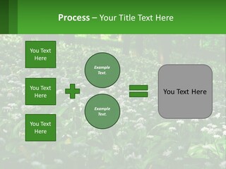 A Field Full Of White Flowers With Trees In The Background PowerPoint Template