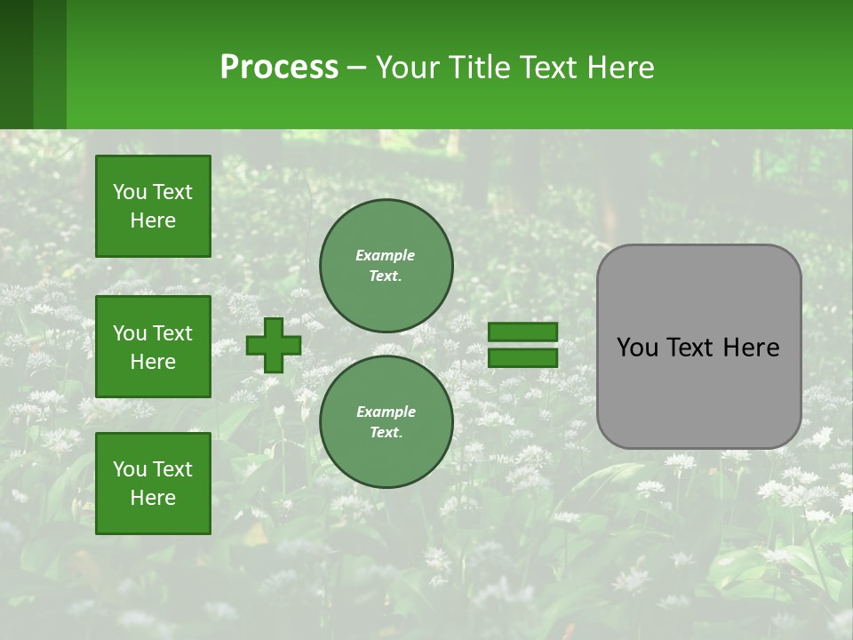 A Field Full Of White Flowers With Trees In The Background PowerPoint Template