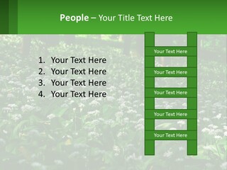 A Field Full Of White Flowers With Trees In The Background PowerPoint Template