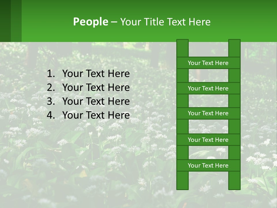 A Field Full Of White Flowers With Trees In The Background PowerPoint Template