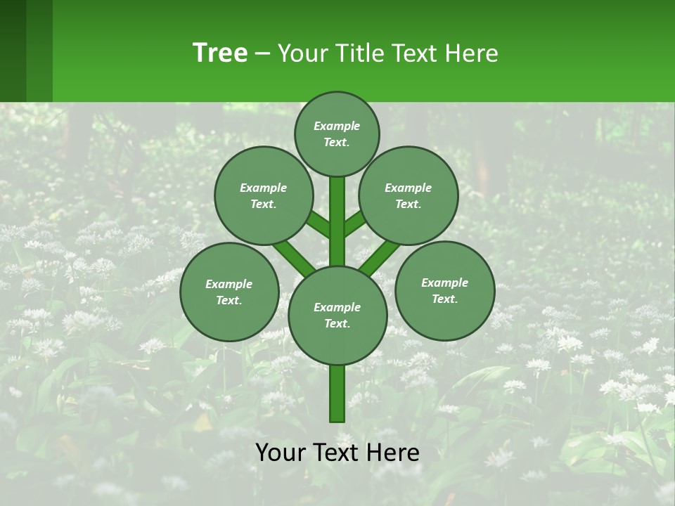 A Field Full Of White Flowers With Trees In The Background PowerPoint Template