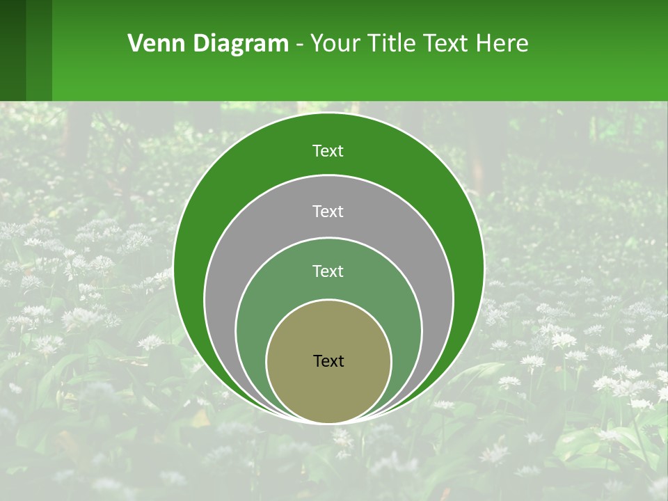 A Field Full Of White Flowers With Trees In The Background PowerPoint Template