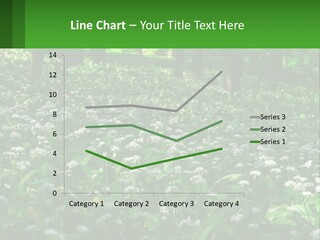 A Field Full Of White Flowers With Trees In The Background PowerPoint Template