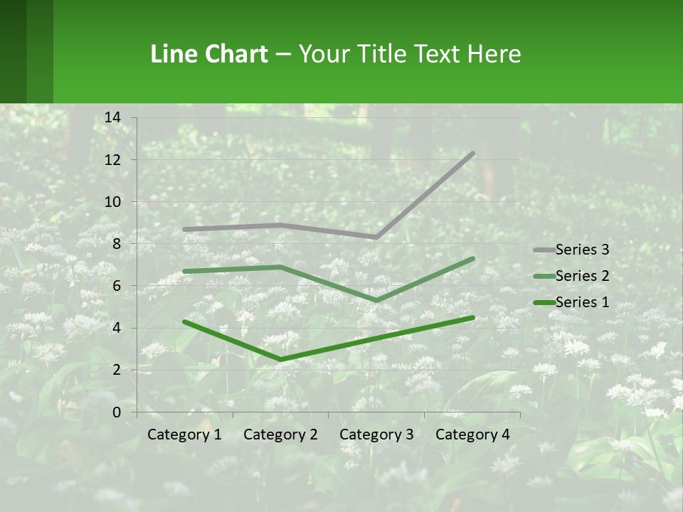 A Field Full Of White Flowers With Trees In The Background PowerPoint Template