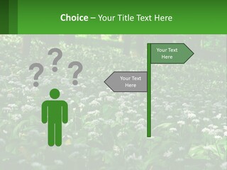 A Field Full Of White Flowers With Trees In The Background PowerPoint Template