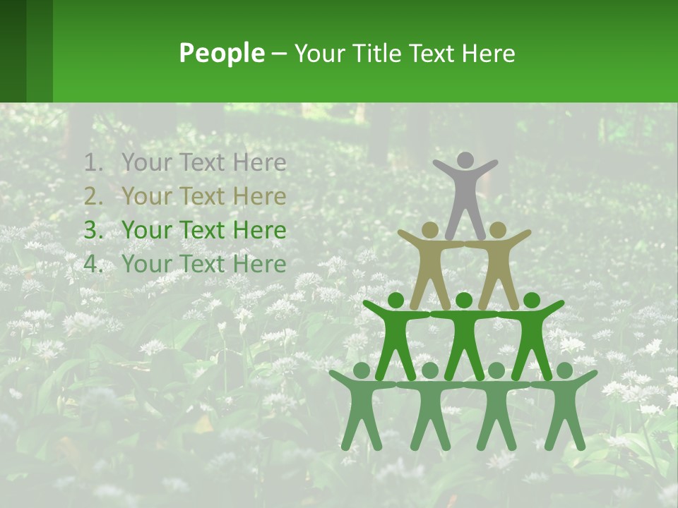 A Field Full Of White Flowers With Trees In The Background PowerPoint Template