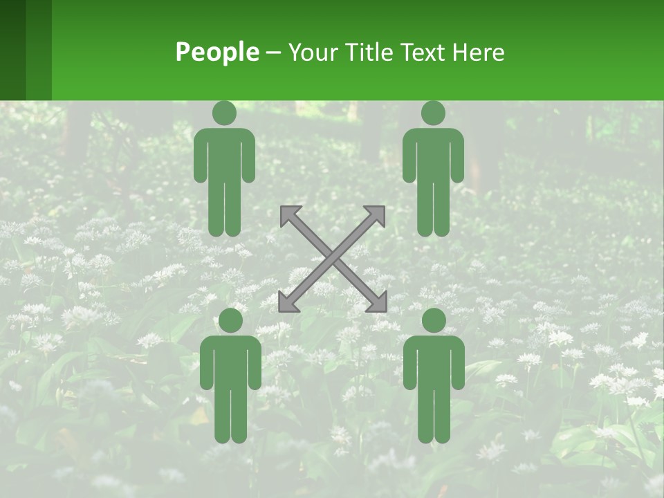 A Field Full Of White Flowers With Trees In The Background PowerPoint Template