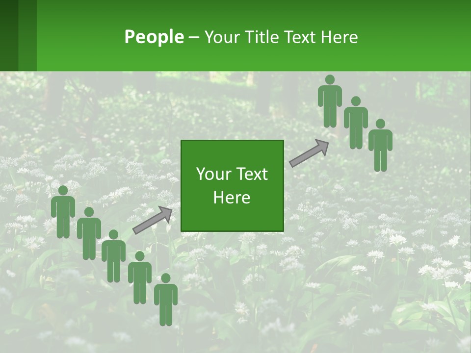 A Field Full Of White Flowers With Trees In The Background PowerPoint Template