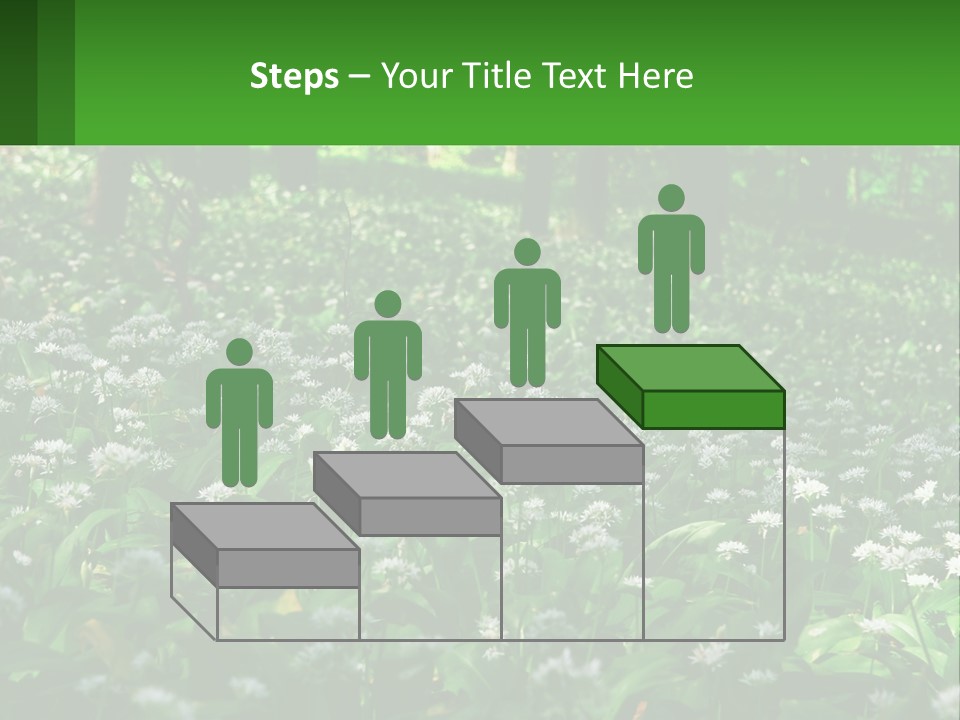 A Field Full Of White Flowers With Trees In The Background PowerPoint Template