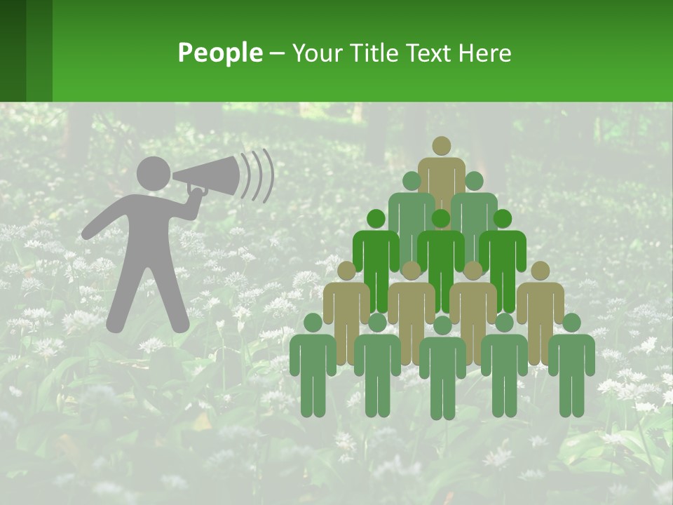 A Field Full Of White Flowers With Trees In The Background PowerPoint Template