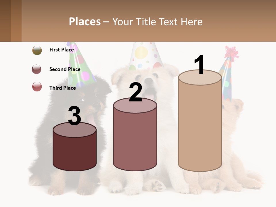 A Group Of Dogs Wearing Party Hats PowerPoint Template