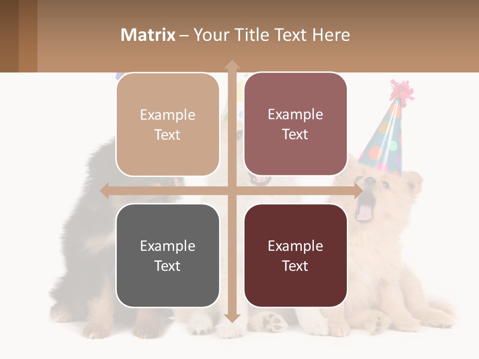 A Group Of Dogs Wearing Party Hats PowerPoint Template