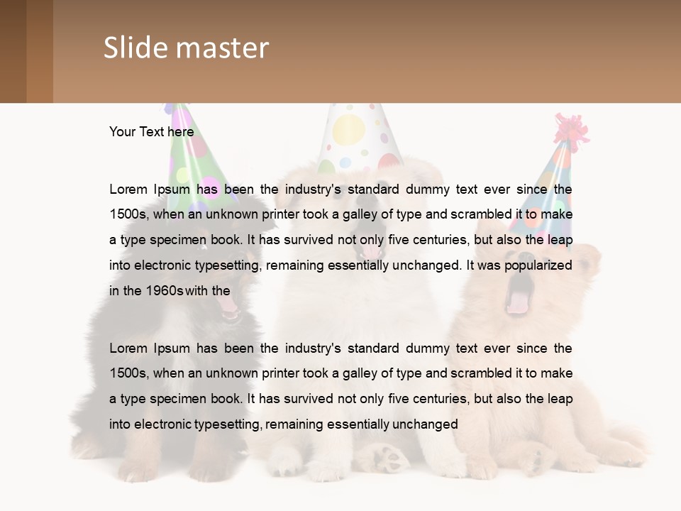 A Group Of Dogs Wearing Party Hats PowerPoint Template