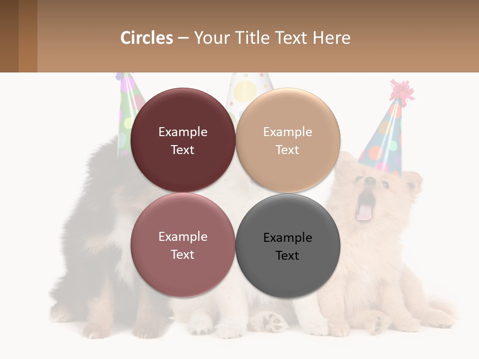 A Group Of Dogs Wearing Party Hats PowerPoint Template