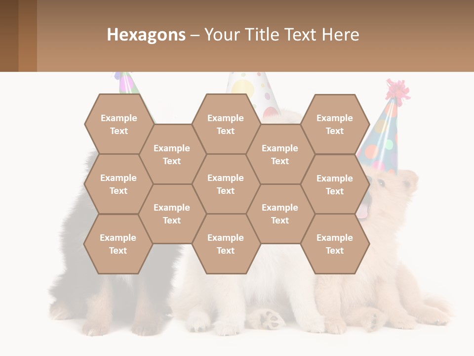 A Group Of Dogs Wearing Party Hats PowerPoint Template