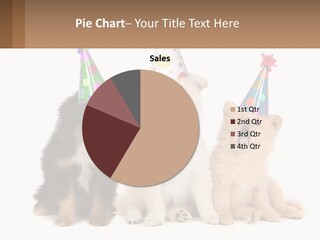 A Group Of Dogs Wearing Party Hats PowerPoint Template