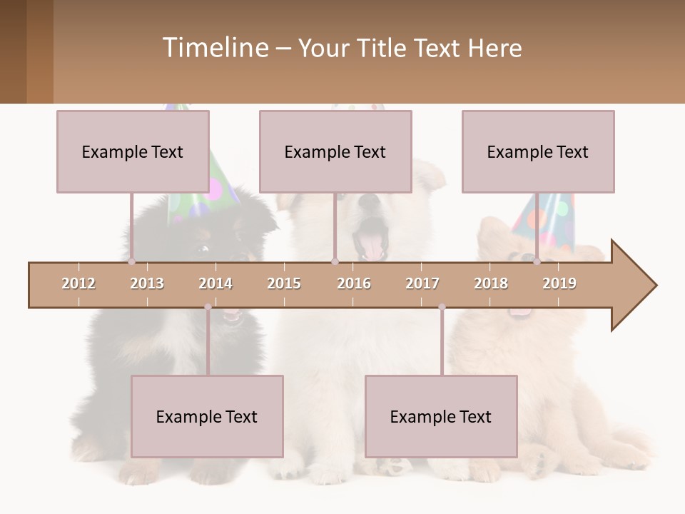 A Group Of Dogs Wearing Party Hats PowerPoint Template