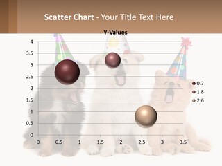 A Group Of Dogs Wearing Party Hats PowerPoint Template