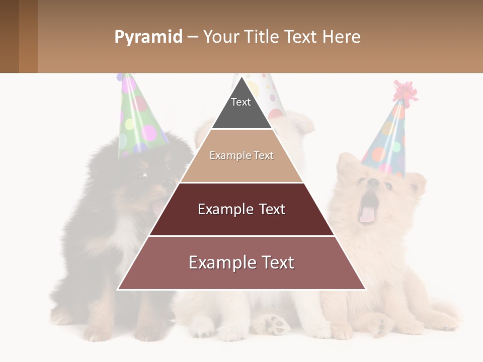 A Group Of Dogs Wearing Party Hats PowerPoint Template