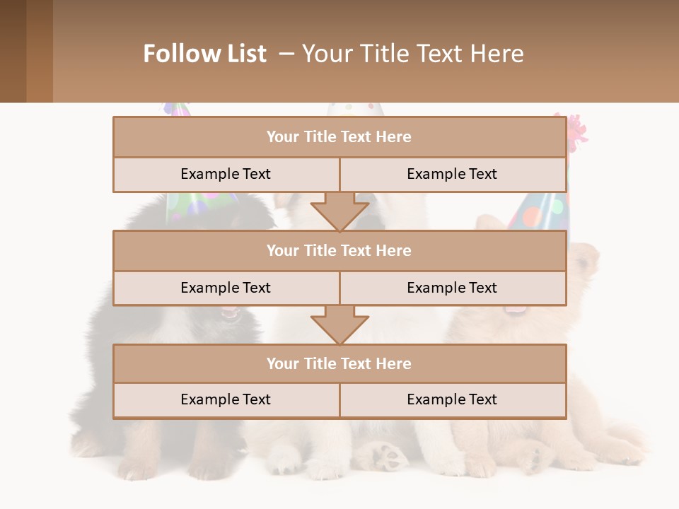 A Group Of Dogs Wearing Party Hats PowerPoint Template