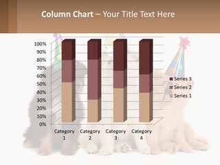 A Group Of Dogs Wearing Party Hats PowerPoint Template