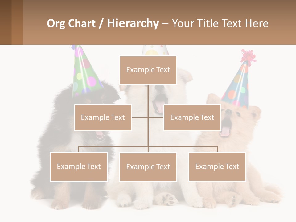A Group Of Dogs Wearing Party Hats PowerPoint Template