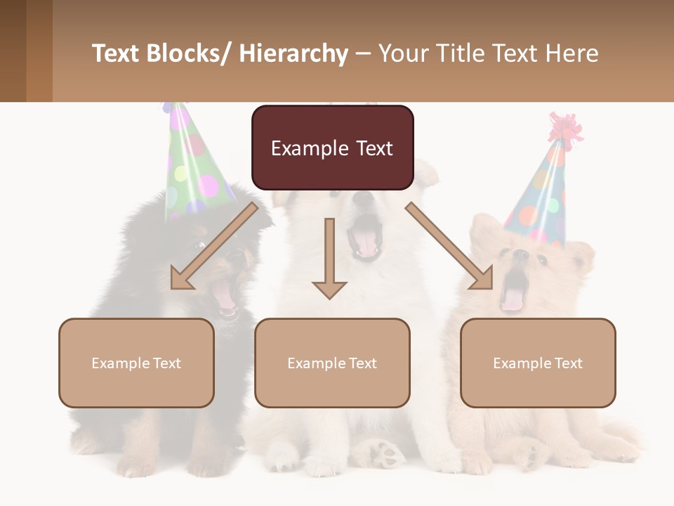 A Group Of Dogs Wearing Party Hats PowerPoint Template