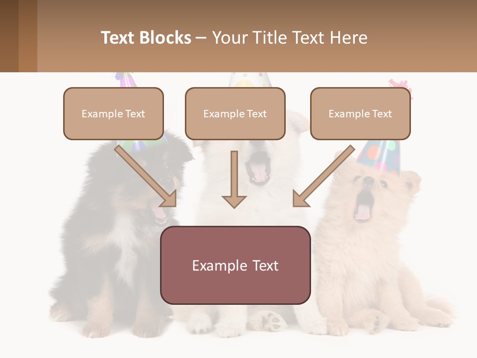 A Group Of Dogs Wearing Party Hats PowerPoint Template